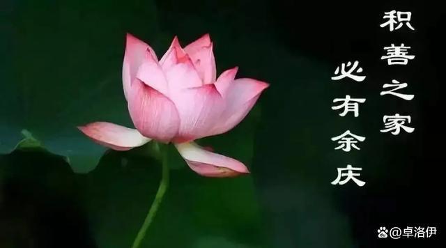 对你有恩的人,用这3种方式报答,可以增添你的福报