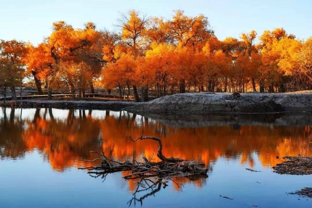 额济纳向滞留旅客表达歉意,提供免费午餐和门票,网友:诚意不足休闲区蓝鸢梦想 - Www.slyday.coM 额济纳向滞留旅客表达歉意,提供免费午餐和门票,网友:诚意不足休闲区蓝鸢梦想 - Www.slyday.coM