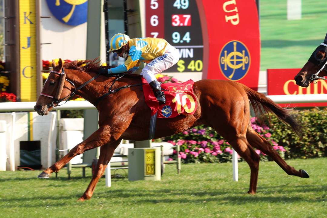 香港举行新春赛马喜迎兔年,入场人数创三年来新高|观赛|香港|入场