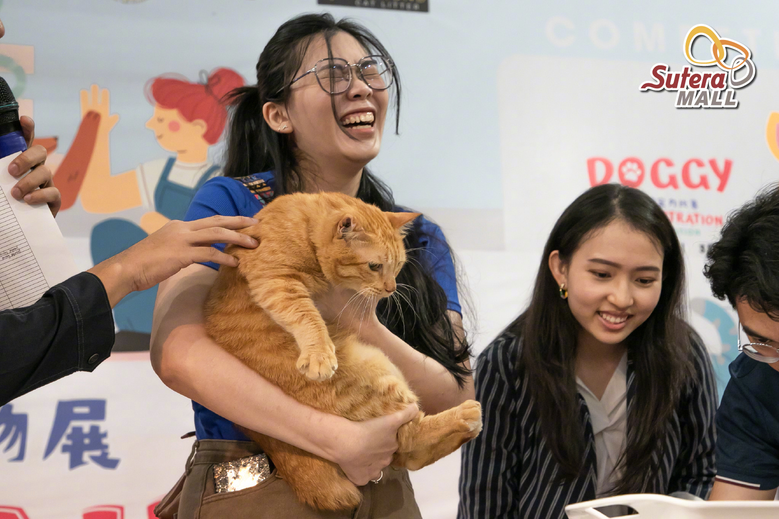 商场举办的猪咪评选大赛！__财经头条