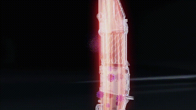 无菌耗材怎么消毒在洗碗机里种了五天蘑菇后，我们解锁了真无菌之境_https://www.jmylbn.com_新闻资讯_第14张