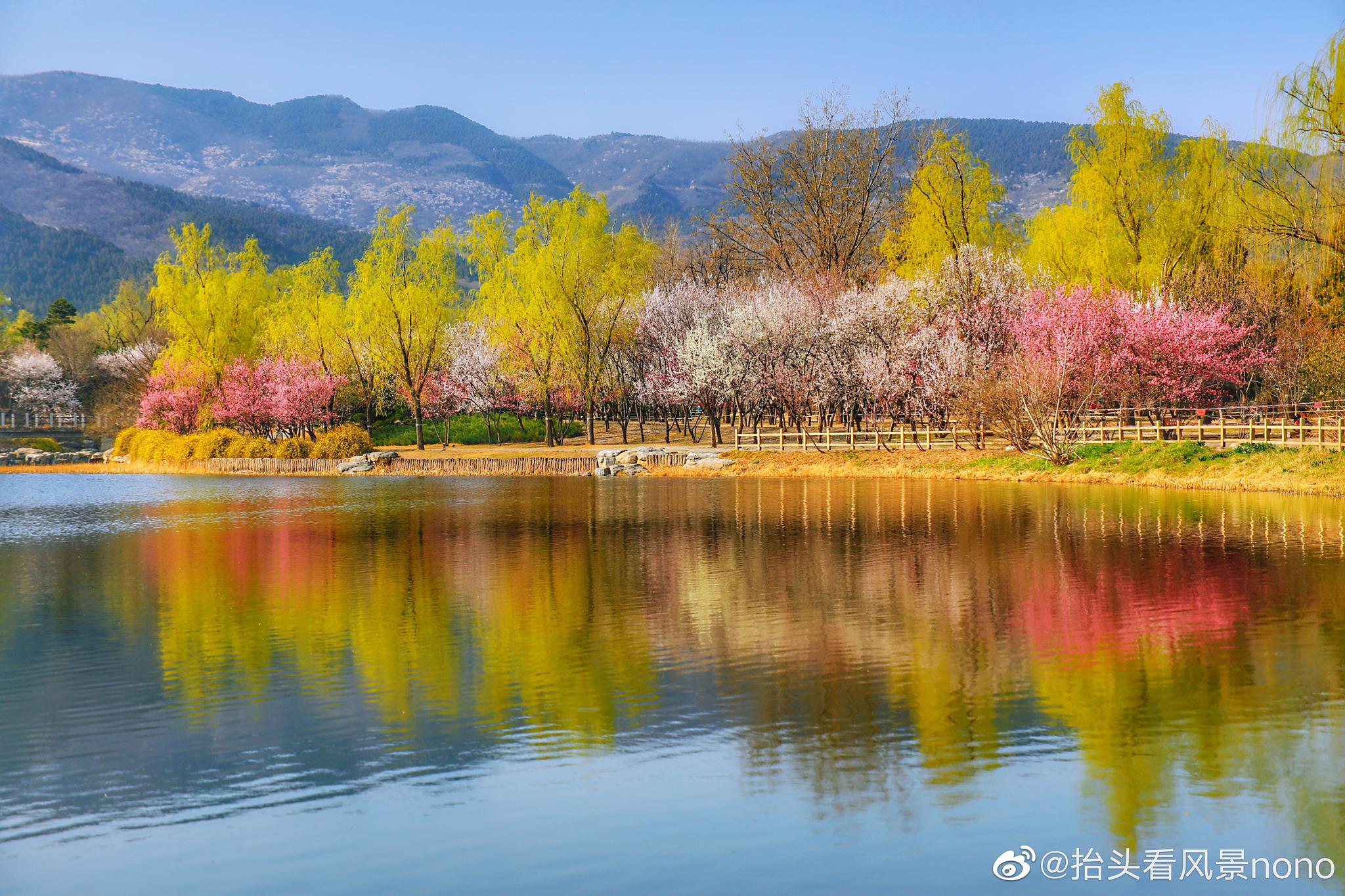 北京的春天如约而至,依旧带着笑意.植物园正常开放
