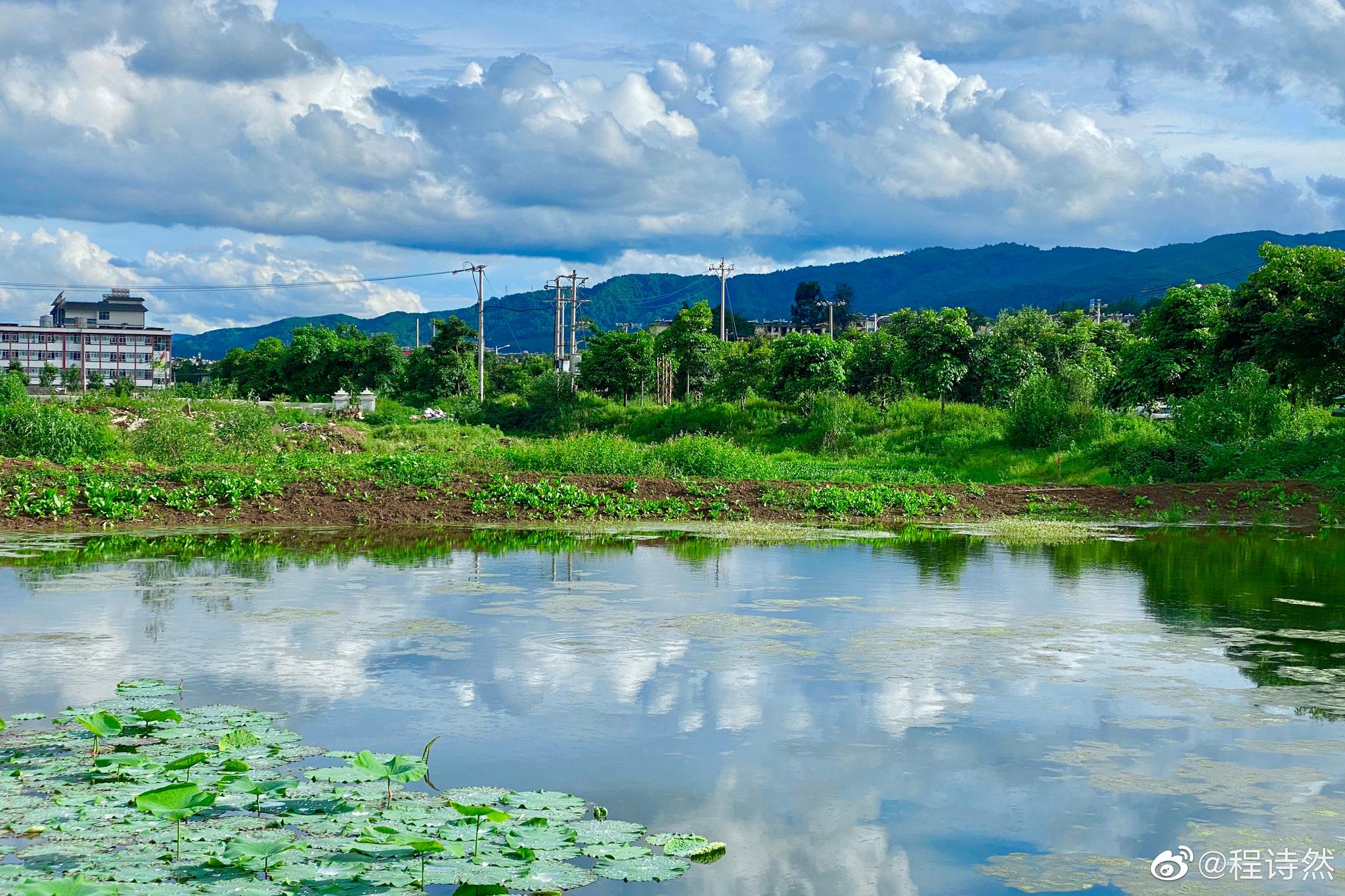 云南普洱,宁洱哈尼族彝族自治县,大板桥田园_高清图集_新浪网