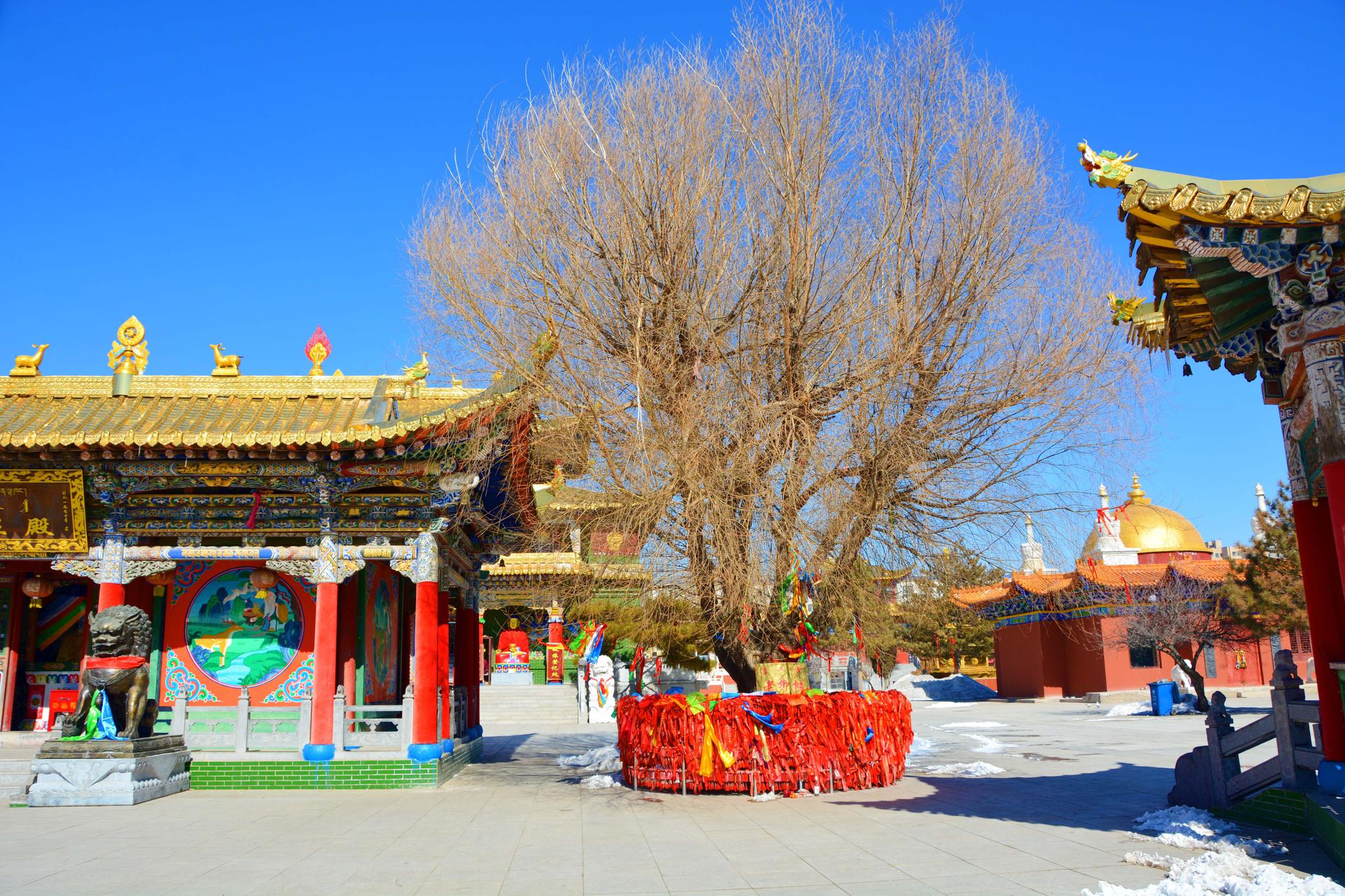 春天的通辽市大乐林寺