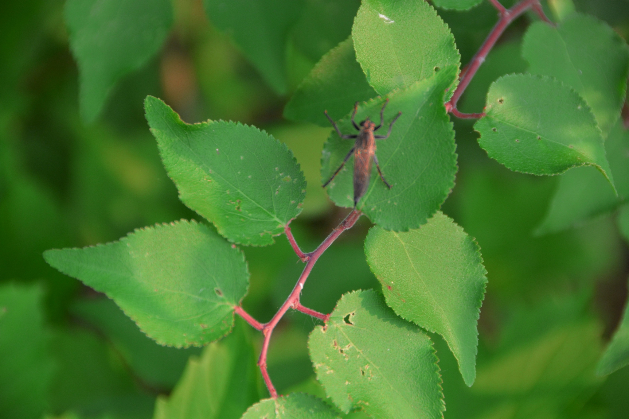 一只牛虻,原创拍摄__财经头条
