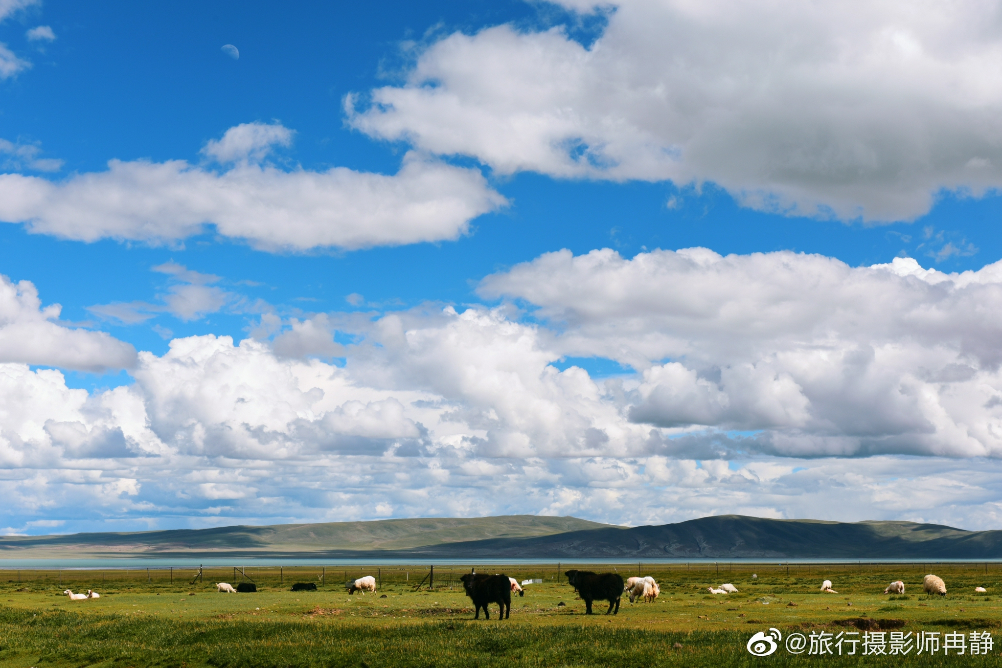 羊群,一措再措 @中国西藏旅游 67一路向西去那曲沿途都是好风景草地