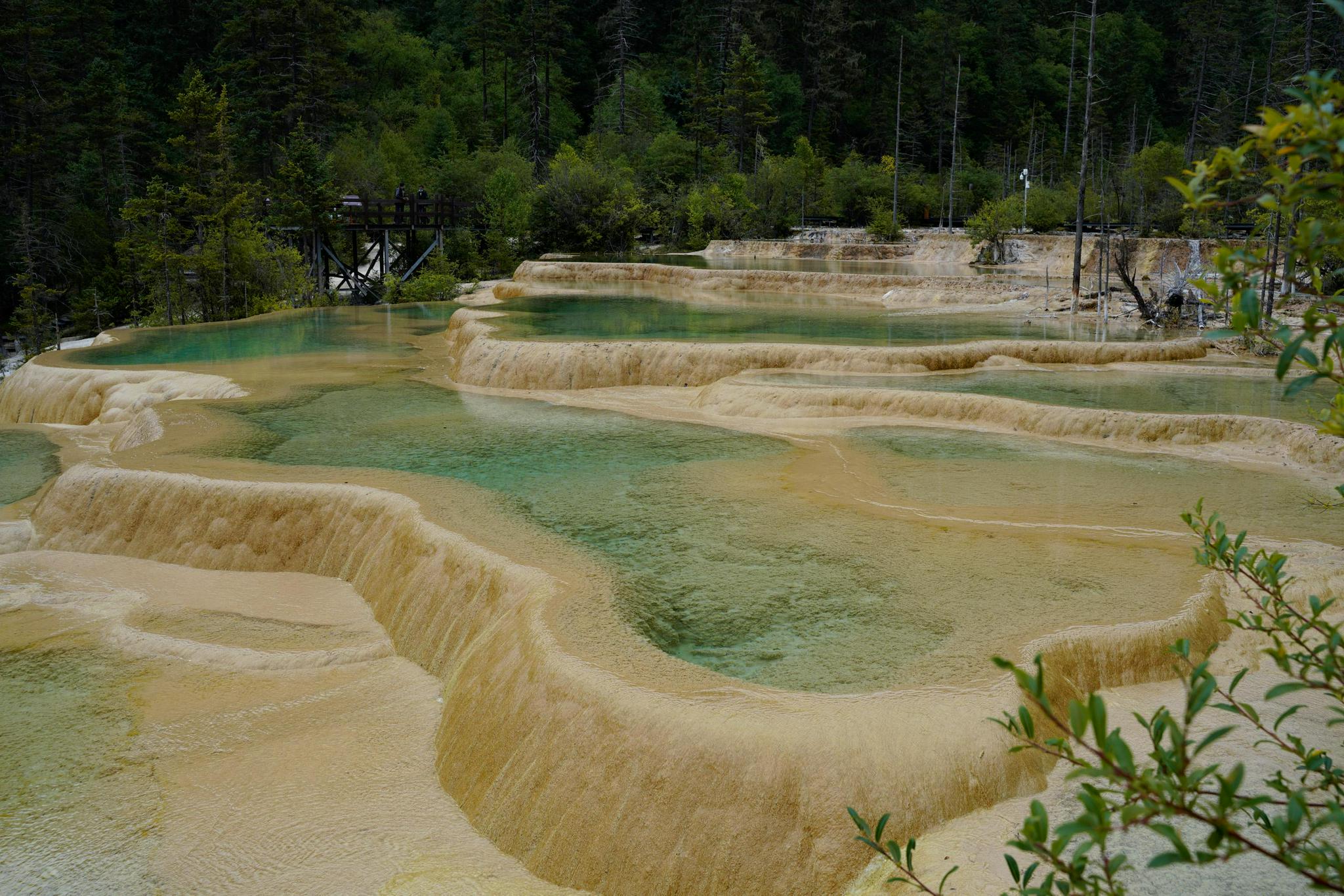 8月24日,游客在九寨沟爱情海景区拍照.新华社记者 刘梦琪 摄