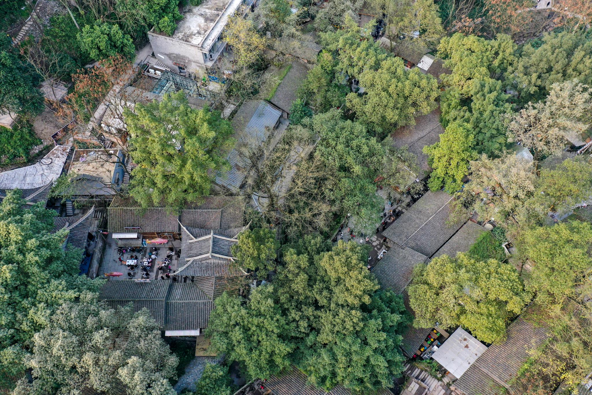 社会重庆北碚金刚碑古村落开启开街测试运营