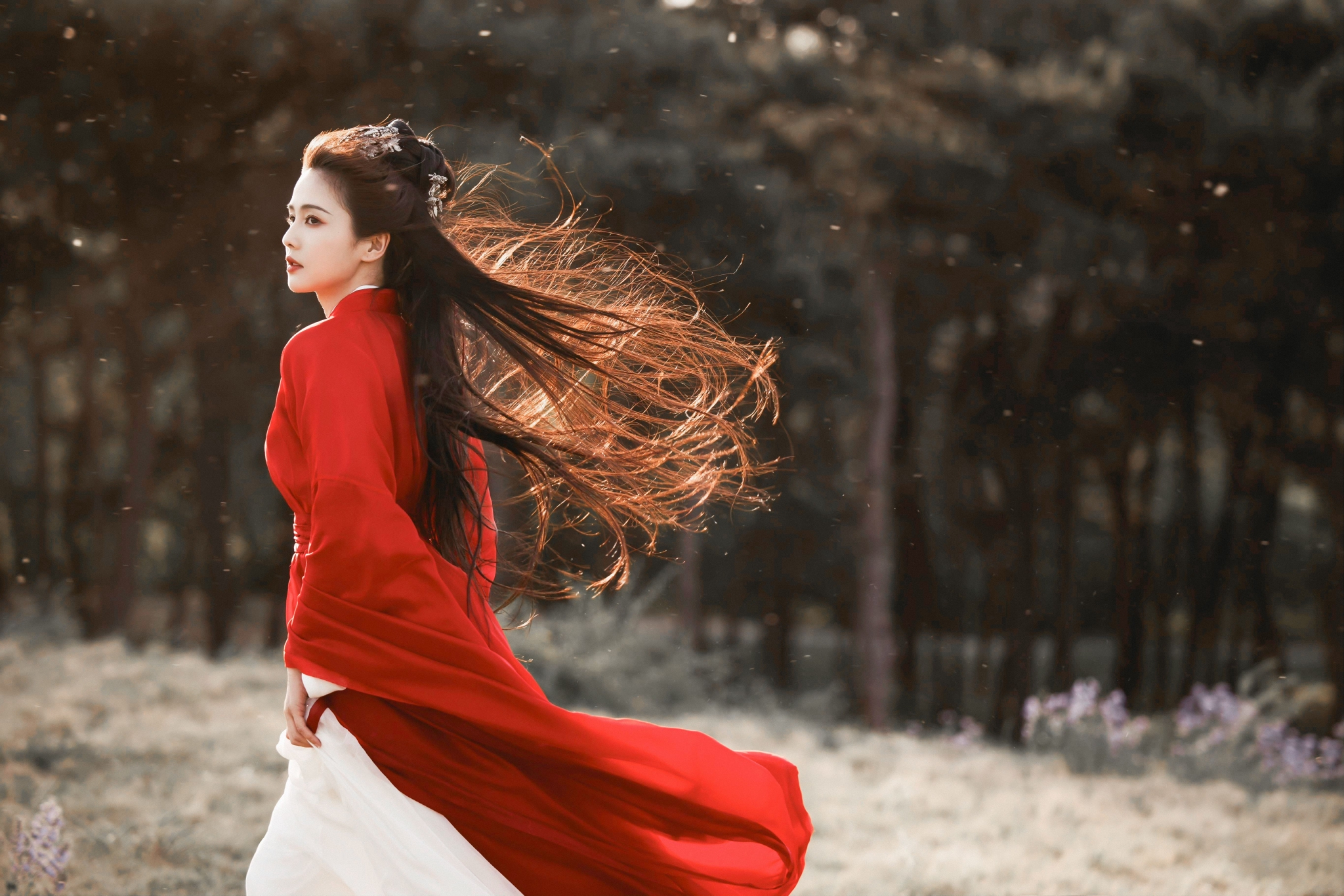 白鹿| 电脑壁纸|白鹿|壁纸|电脑_新浪新闻