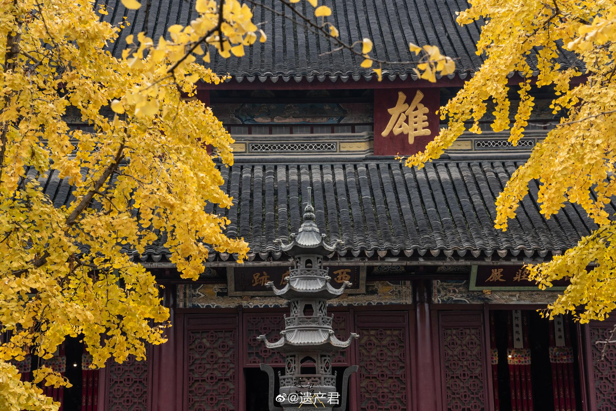 苏州西园寺，中国Z有良心的景区，藏着苏州Z好吃的素面。_新浪新闻