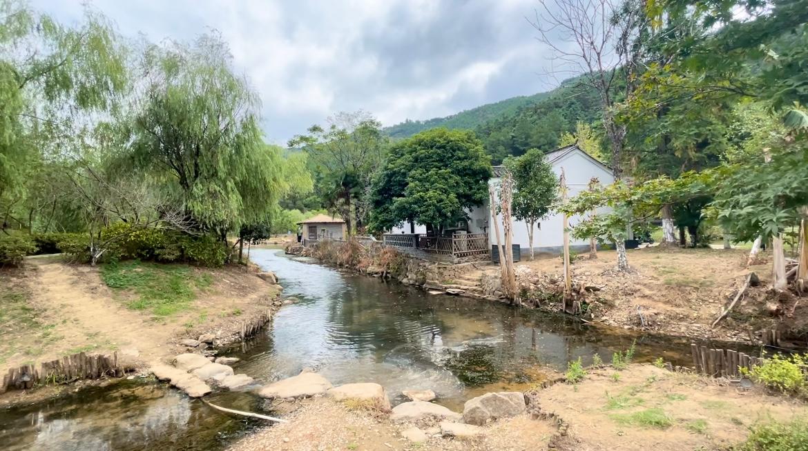 景德镇马鞍岭村景色好产业兴绘就乡村振兴新图景