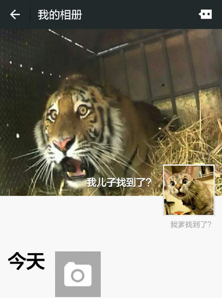 细数那些比较搞笑的朋友圈封面哈哈一个个莫名的喜感