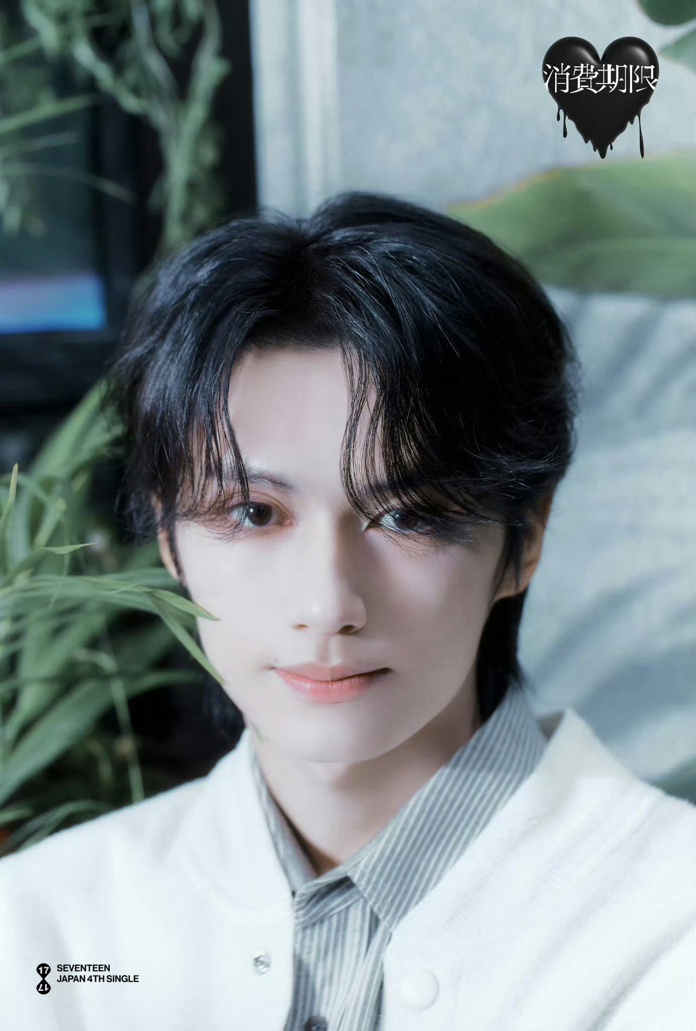 文俊辉X SEVENTEEN JAPAN 4TH SINGLE「消費期限」预告大片释出…|文俊辉