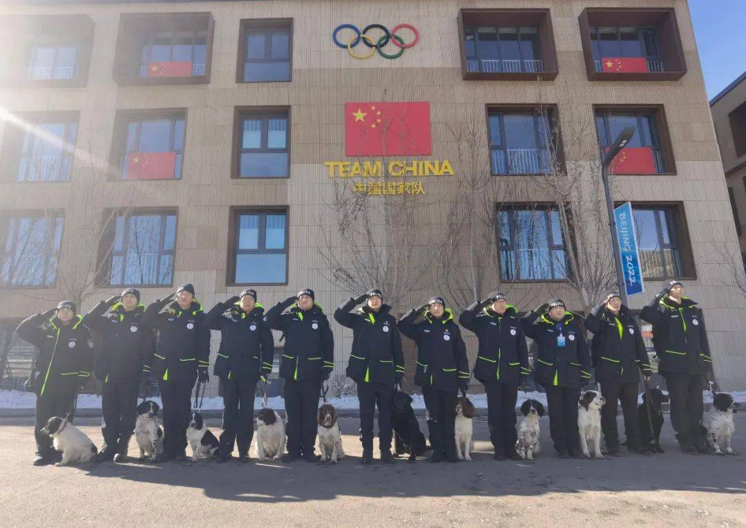 警犬“小七”的冬奥故事休闲区蓝鸢梦想 - Www.slyday.coM