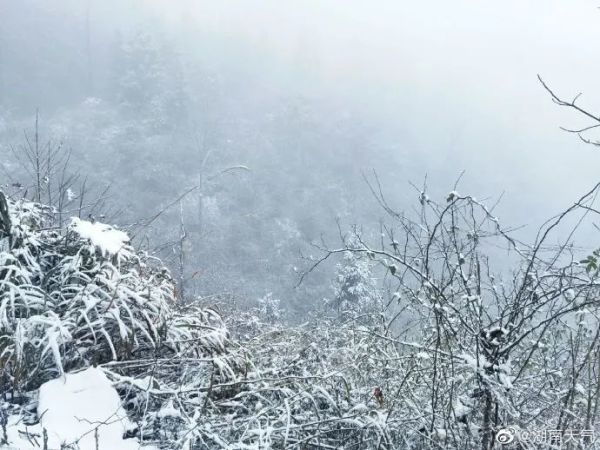 今年首个暴雪预警拉响！问世间“晴”为何物，上海的雪安排上了？休闲区蓝鸢梦想 - Www.slyday.coM
