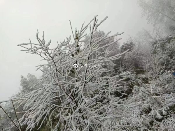 今年首个暴雪预警拉响！问世间“晴”为何物，上海的雪安排上了？休闲区蓝鸢梦想 - Www.slyday.coM