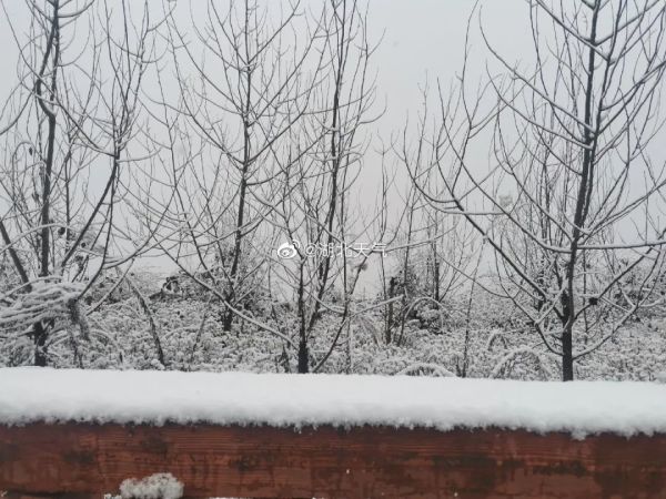 今年首个暴雪预警拉响！问世间“晴”为何物，上海的雪安排上了？休闲区蓝鸢梦想 - Www.slyday.coM