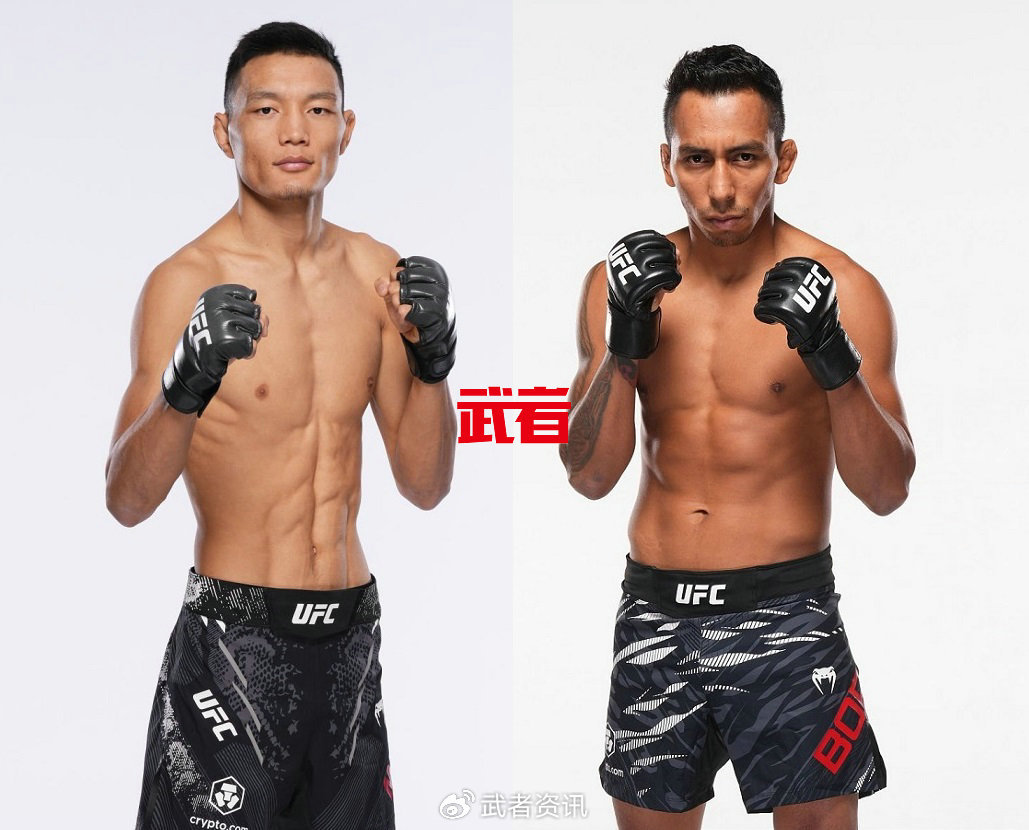 茸主与肖龙出战UFC上海站