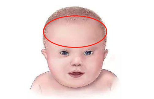 小孩|额角|印堂_新浪新闻