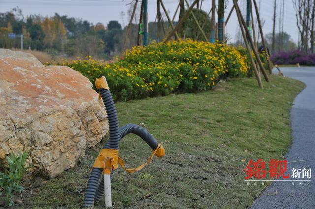 民生回音壁｜记者再访鲁家滩绿道：照明设施正在安装 市民即将告别摸黑锻炼休闲区蓝鸢梦想 - Www.slyday.coM