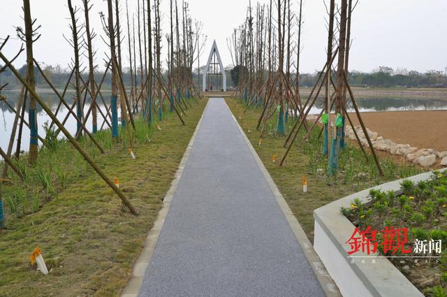 民生回音壁｜记者再访鲁家滩绿道：照明设施正在安装 市民即将告别摸黑锻炼休闲区蓝鸢梦想 - Www.slyday.coM