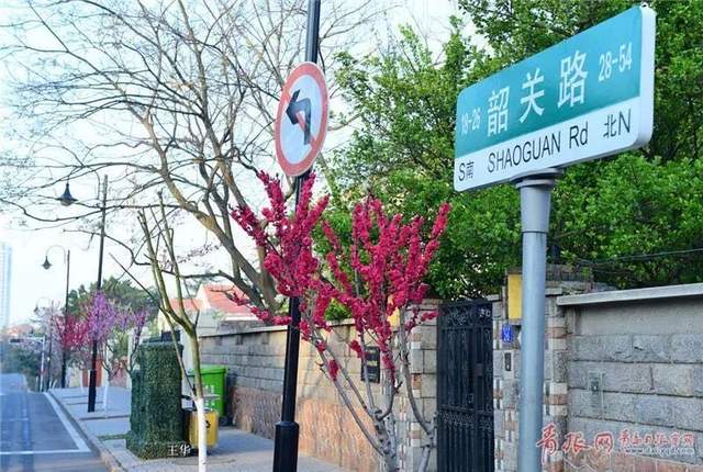 初夏微雨散步八大关刚刚好