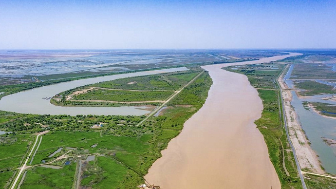 魅力东营黄河入海口多姿多彩休闲的湿地之城
