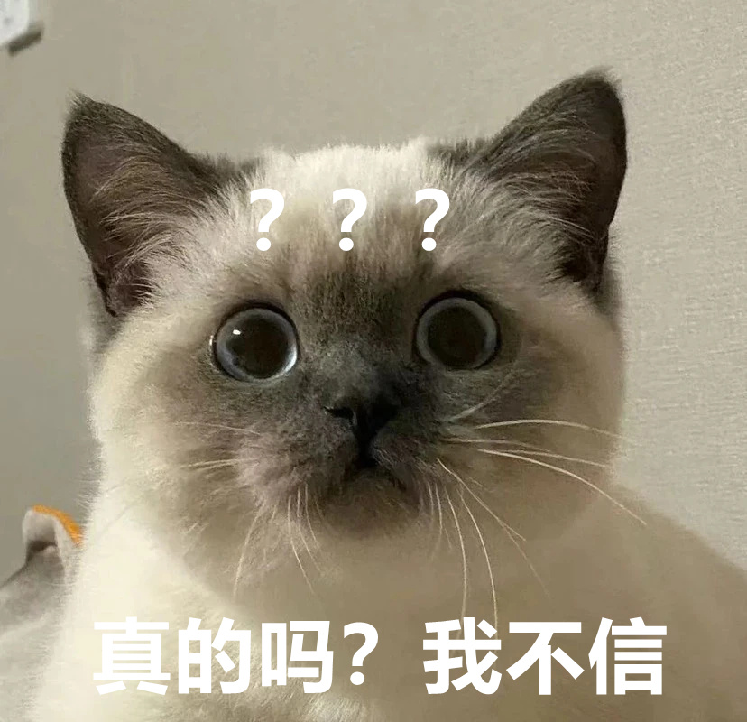 挖煤工煤老板重点色英短表情包 简直就是梦中情猫