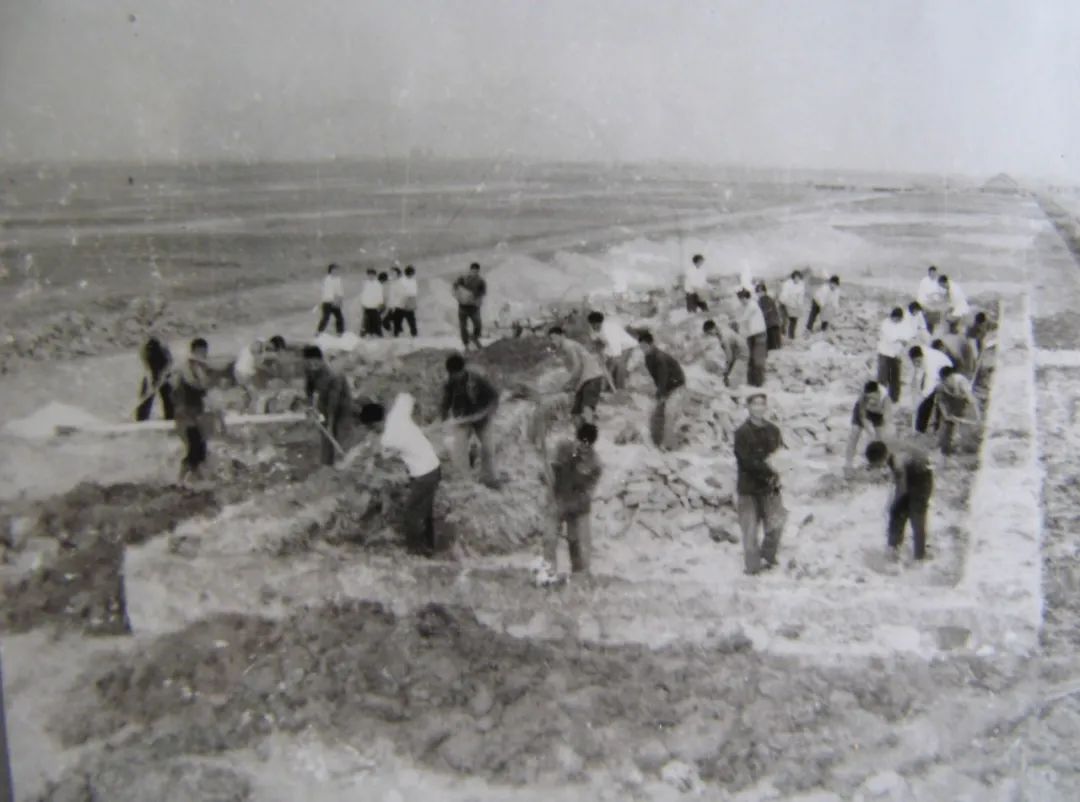 历史今天看,图说羊口盐场