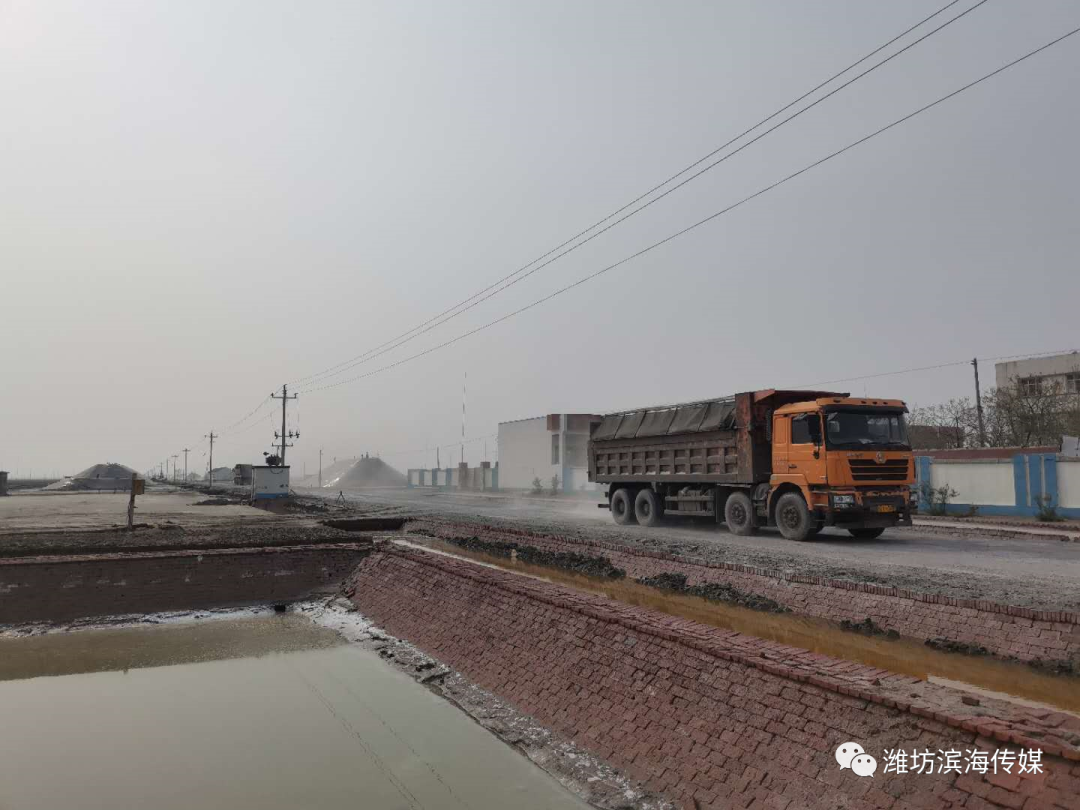历史今天看,图说羊口盐场