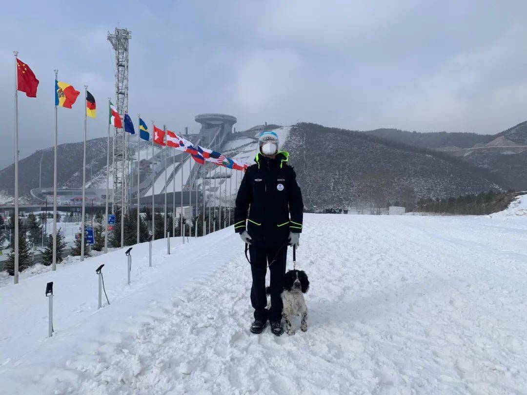 警犬“小七”的冬奥故事休闲区蓝鸢梦想 - Www.slyday.coM