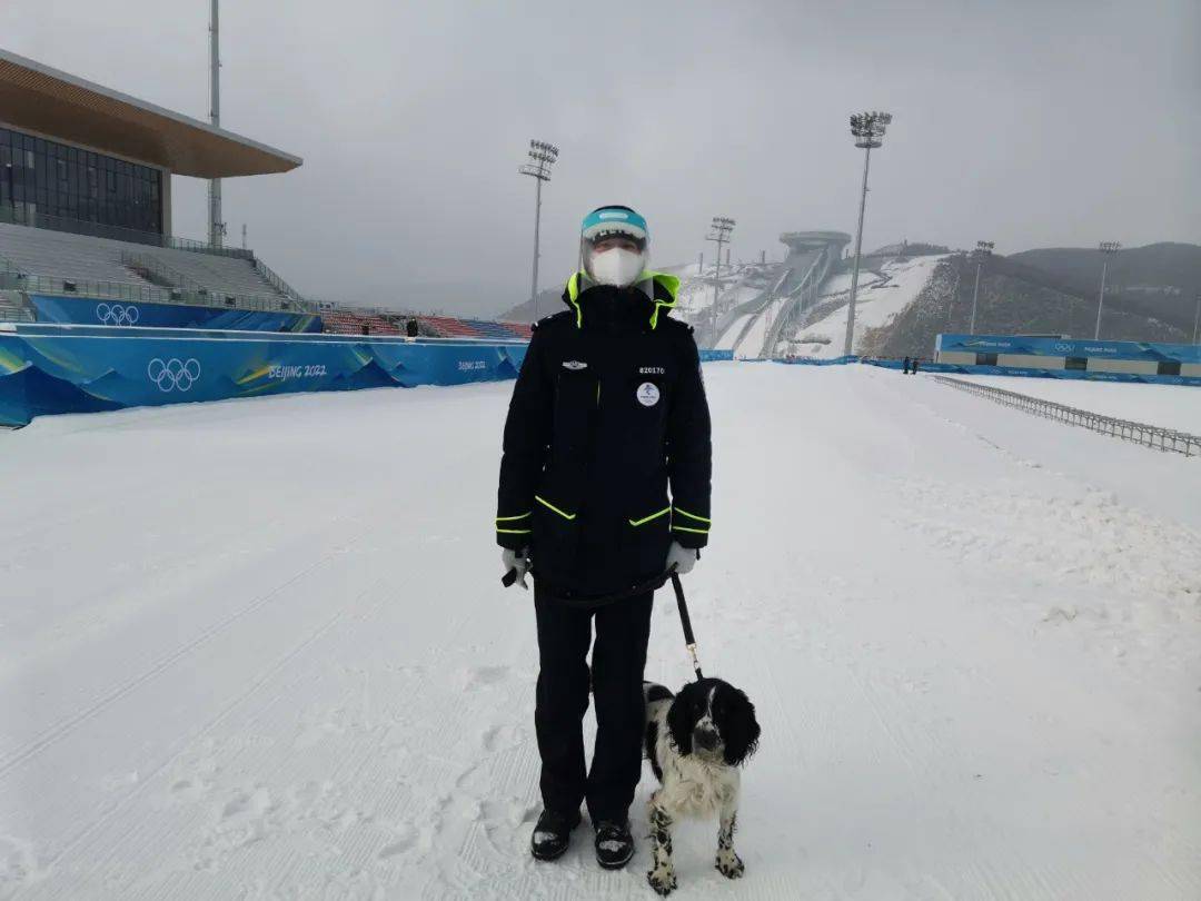 警犬“小七”的冬奥故事休闲区蓝鸢梦想 - Www.slyday.coM
