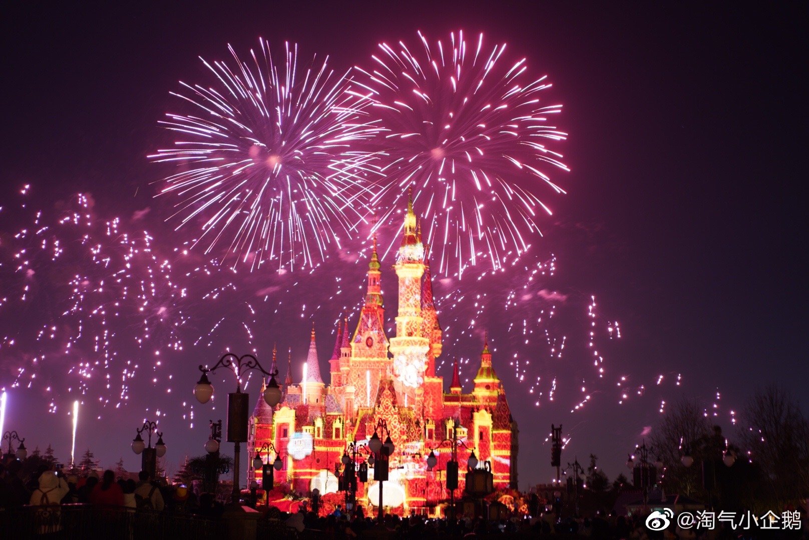 2021迪士尼新年烟花,这才是烟花该有的样子啊 (相机直出)_高清图集