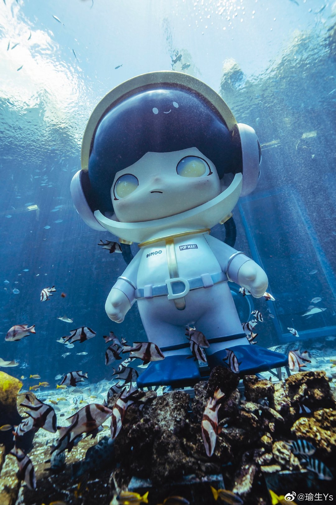 全新配色dimoo水族馆系列 5米巨型隐藏款潜水员