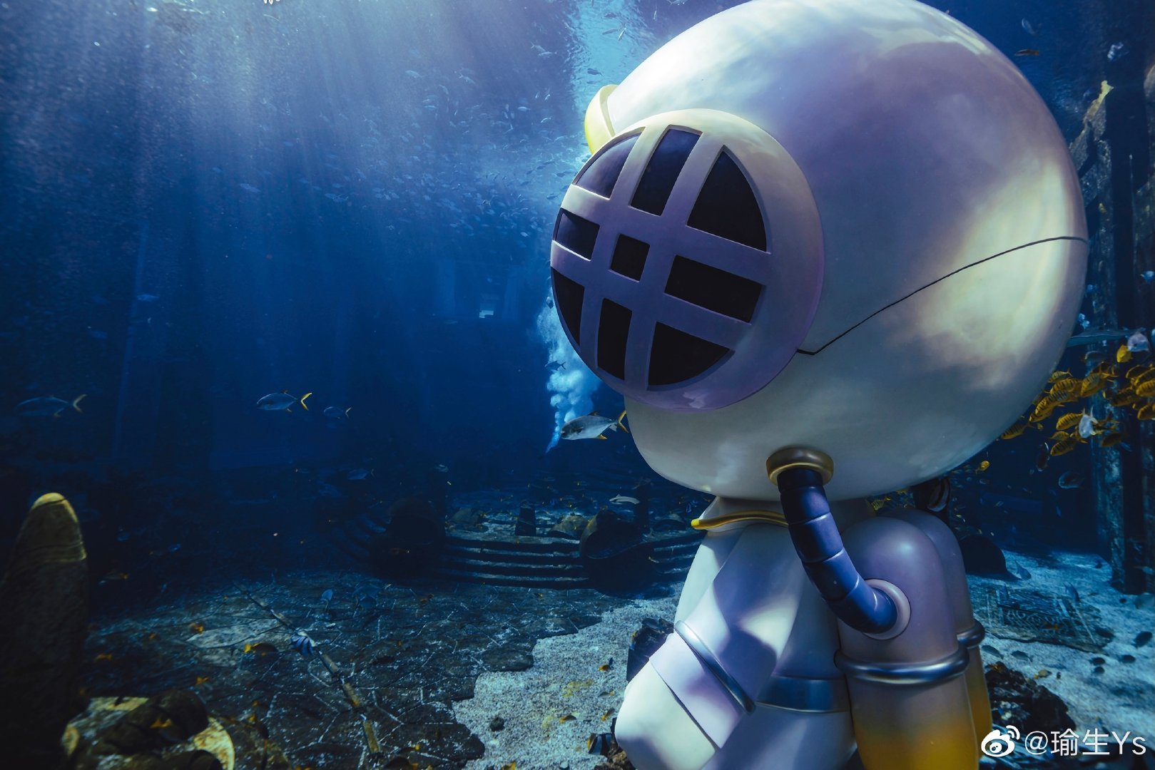 1 / 9  全新配色dimoo水族馆系列5米巨型隐藏款潜