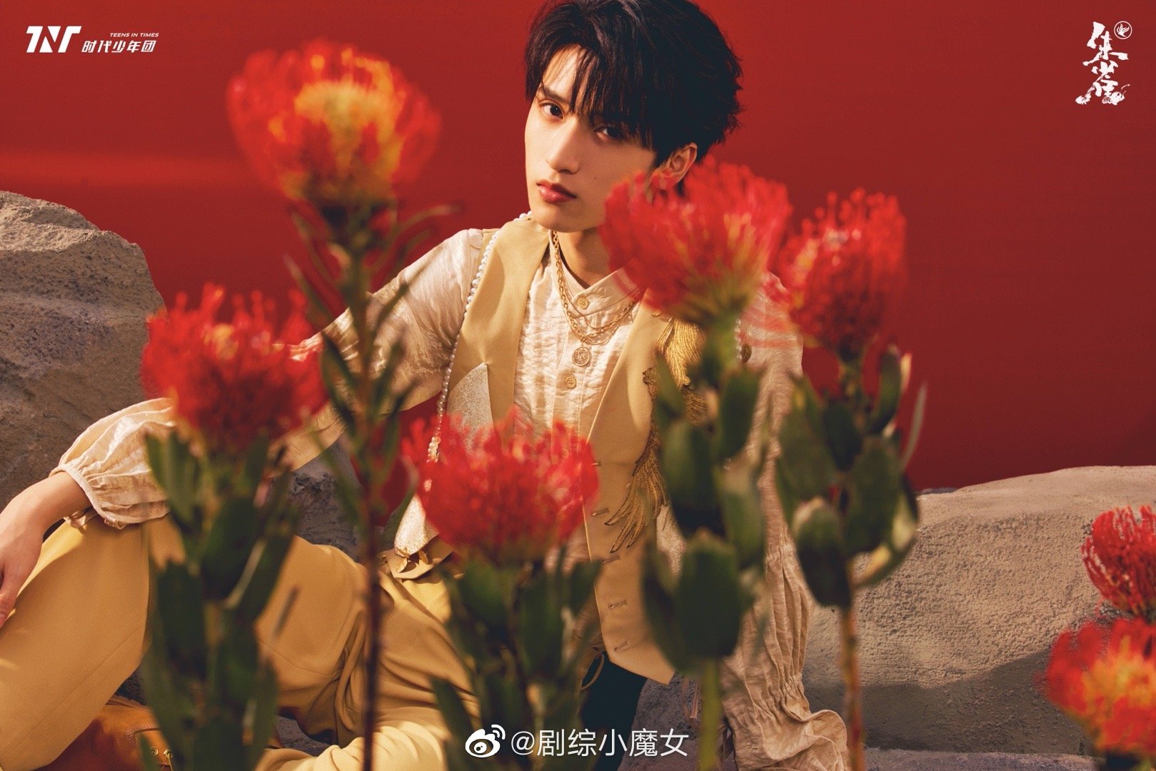 时代少年团朱雀mv人物海报公开