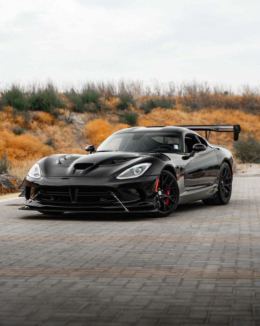 黑酷道奇viper acr～_高清图集_新浪网