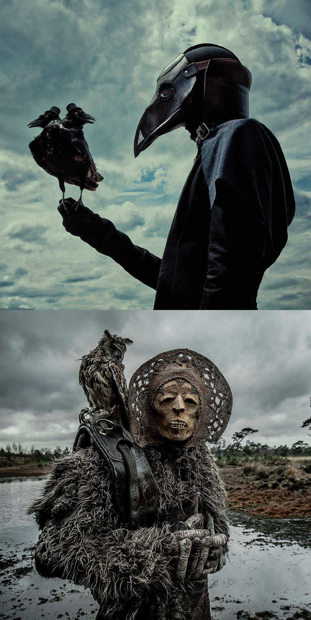 梦魇和动物标本|mothmeister