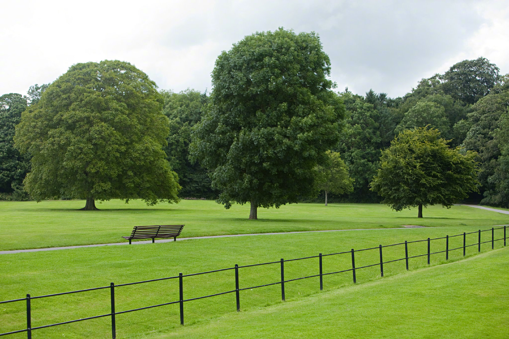 爱尔兰的绿色田园也太让人喜欢了_高清图集_新浪网