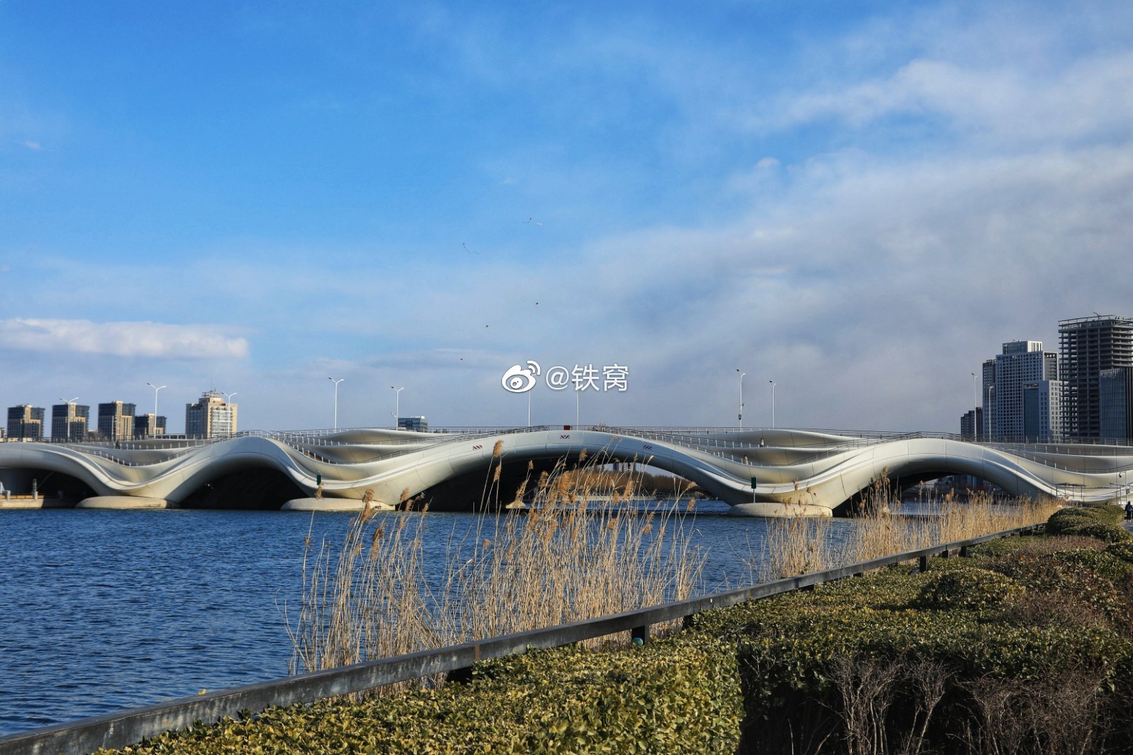 通州大运河上的千荷泻露大桥