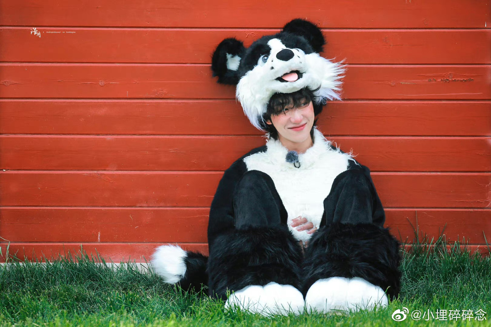 徐明浩cos小狗造型青环你真的好事做尽啊腮红77雀斑