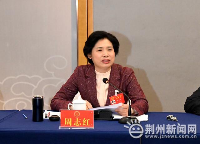 周志红参加江陵县代表团审议|江陵县|周志红|荆州_新浪新闻