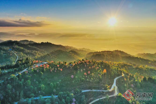 云南昌宁:释放"生态红利" 共享"绿色福利"|云南|昌宁|昌宁县_新浪新闻