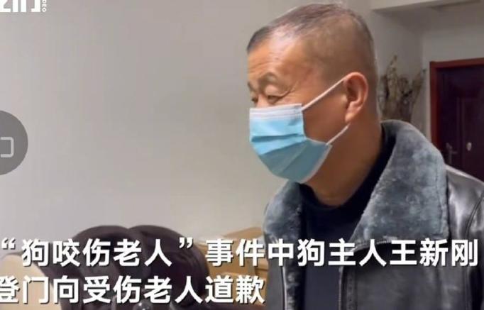 晓蕾说丨安阳“狗咬人”事件：如果王新刚的狗会说话休闲区蓝鸢梦想 - Www.slyday.coM