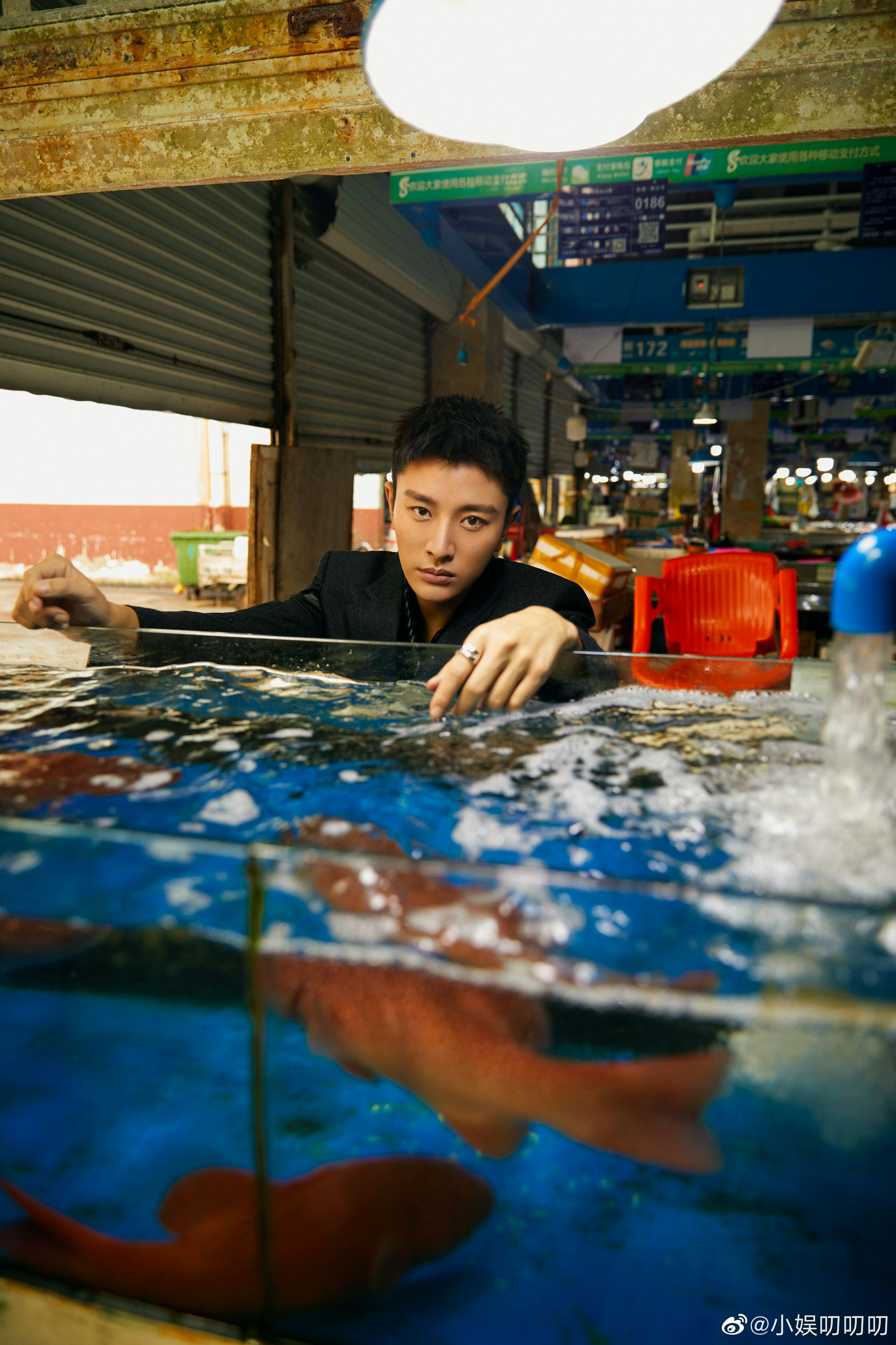 有被贾乃亮工作室出的图笑到没有大海没有沙滩