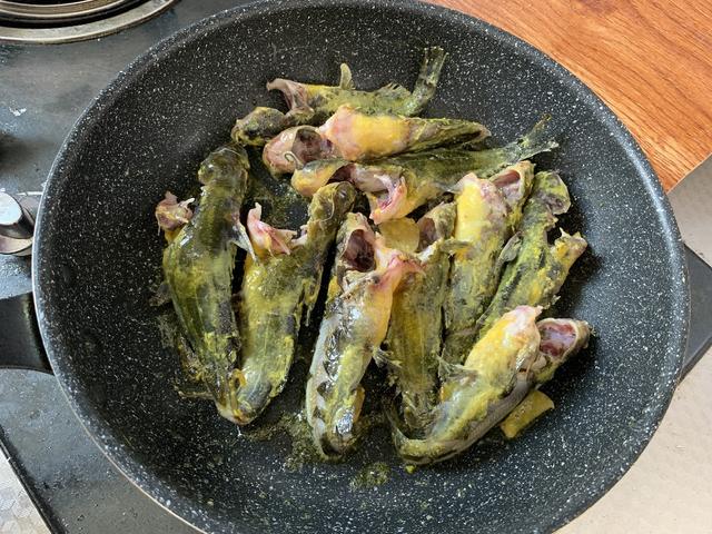 夏天遇到此鱼别手软炖汤喝营养又美味大人孩子都喜欢