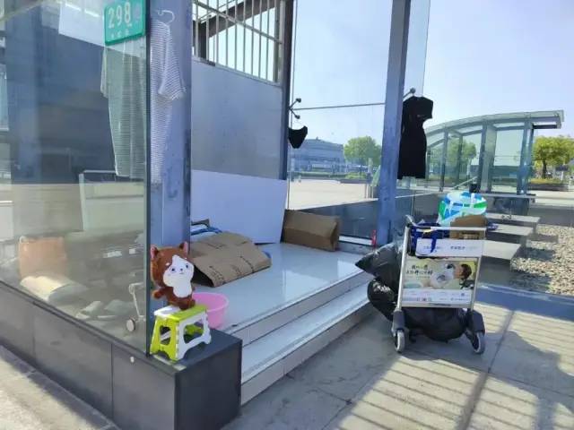 “我躲在上海虹桥的卫生间，不知道去哪”休闲区蓝鸢梦想 - Www.slyday.coM