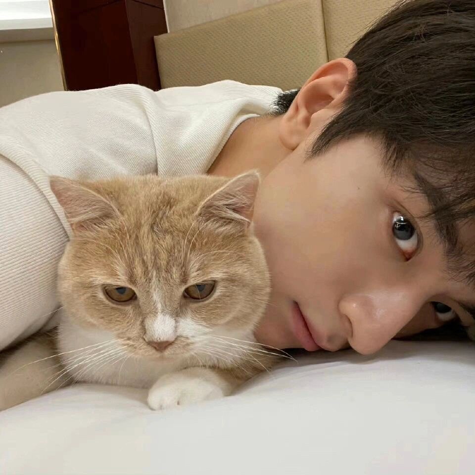 林一怀中的猫 是谁羡慕了__财经头条