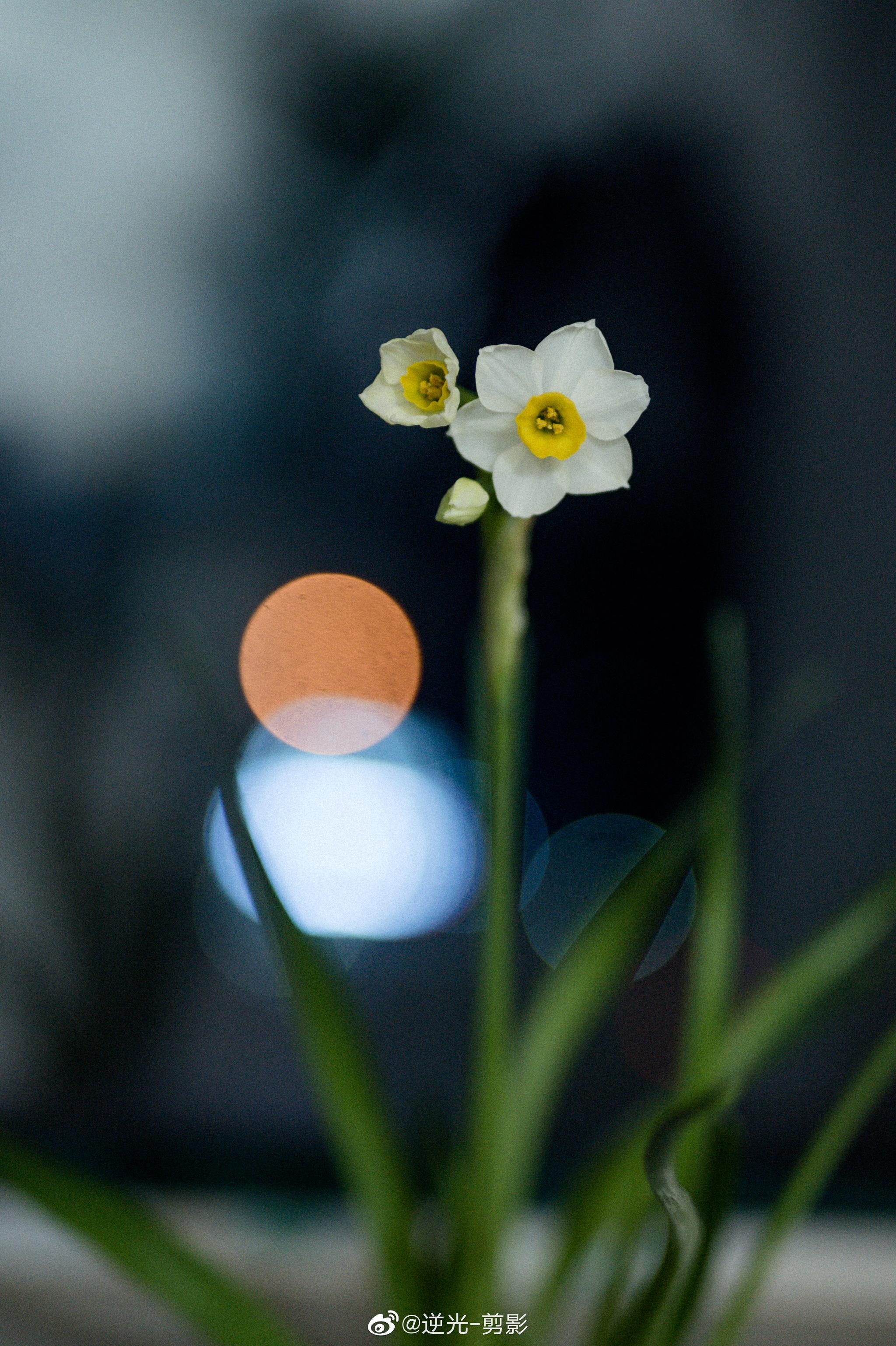 美好的事物,随手一拍都好看_高清图集_新浪网