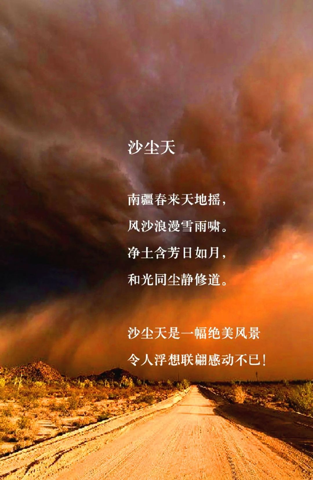 600首穿越千年而来的唐诗写的却是我们当下诗人的身份也是个谜